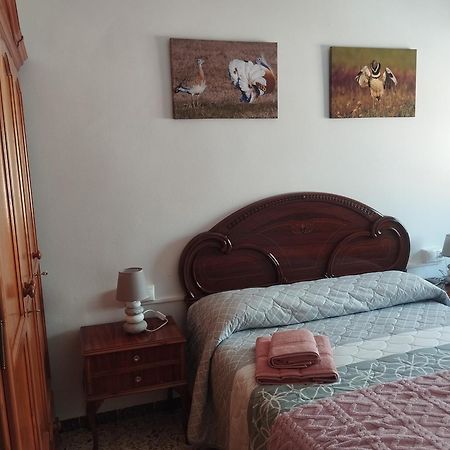 Apartamento Las Fuentes Sierra de Fuentes Luaran gambar